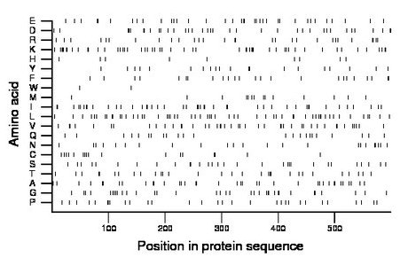 amino acid map