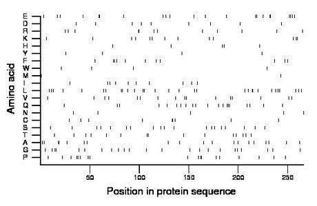 amino acid map