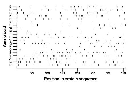 amino acid map