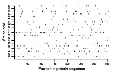 amino acid map