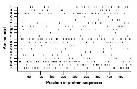 amino acid map