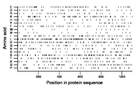 amino acid map