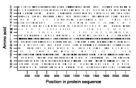 amino acid map