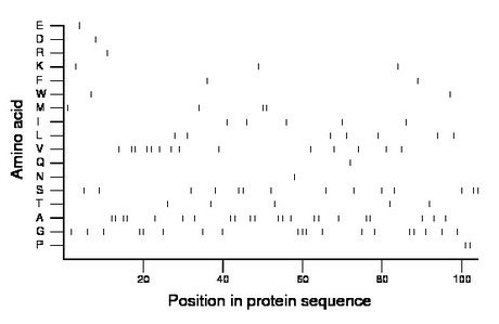 amino acid map