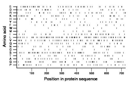 amino acid map