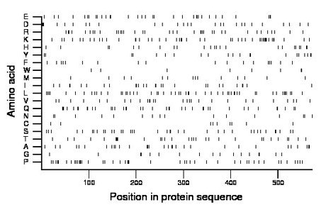 amino acid map