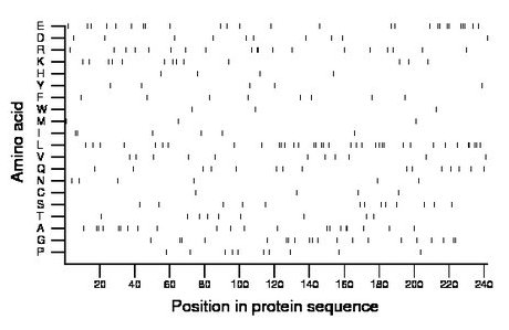 amino acid map