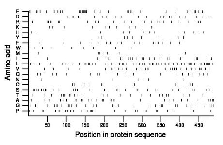 amino acid map