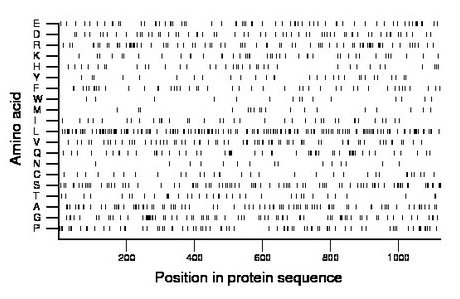 amino acid map