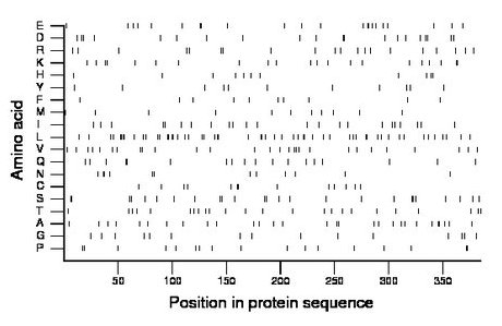 amino acid map