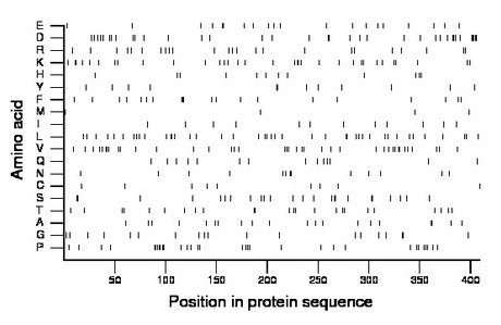 amino acid map