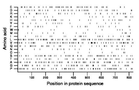 amino acid map