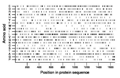 amino acid map