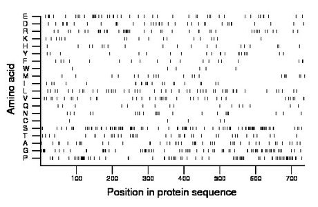 amino acid map