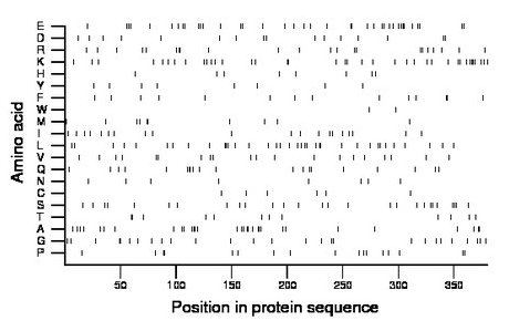 amino acid map