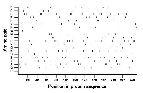 amino acid map