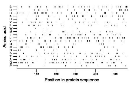 amino acid map