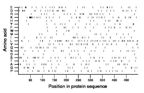 amino acid map