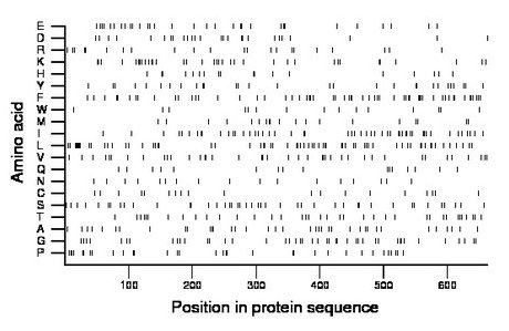 amino acid map