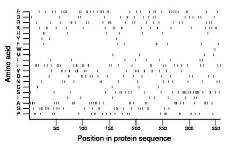 amino acid map