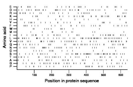 amino acid map