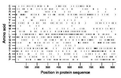 amino acid map