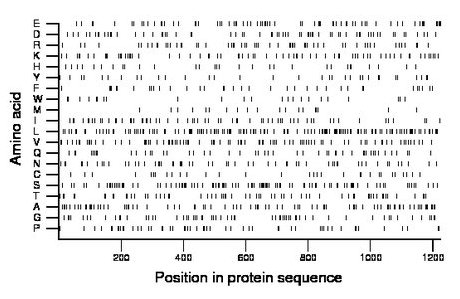 amino acid map