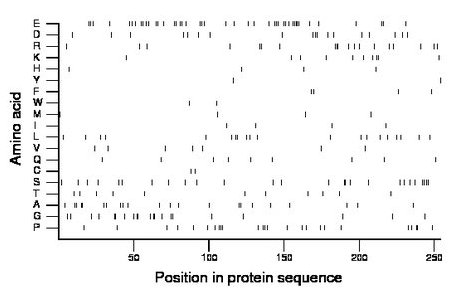 amino acid map