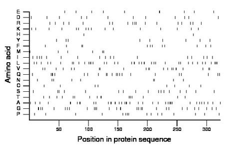 amino acid map