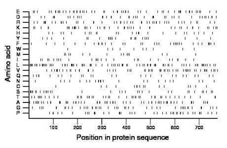 amino acid map