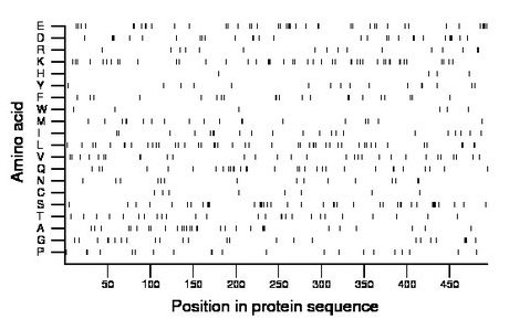 amino acid map