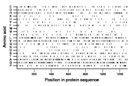 amino acid map