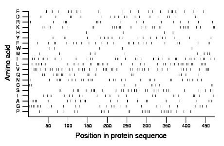 amino acid map