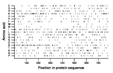 amino acid map