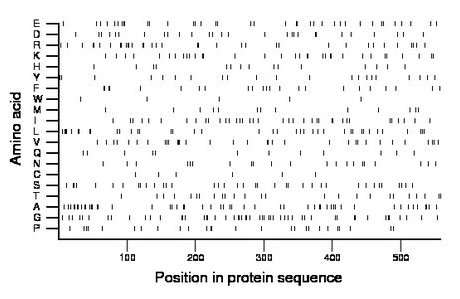 amino acid map