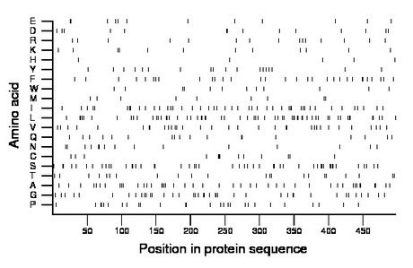 amino acid map