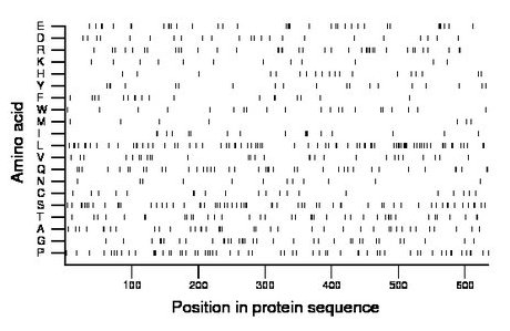 amino acid map