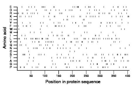 amino acid map