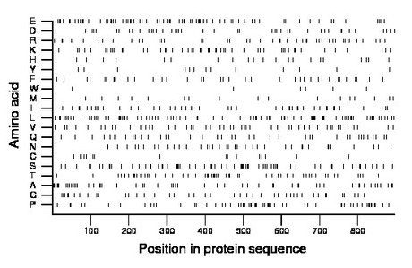 amino acid map