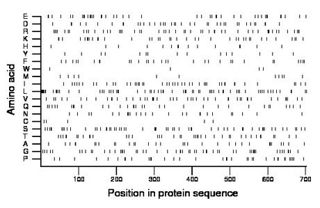 amino acid map