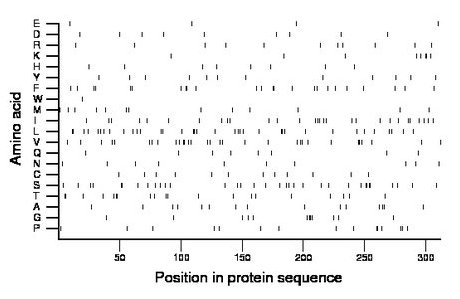 amino acid map