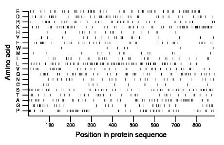 amino acid map