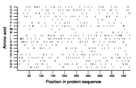 amino acid map