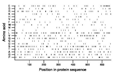 amino acid map