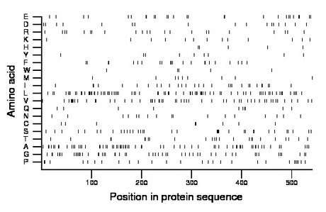 amino acid map