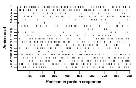 amino acid map