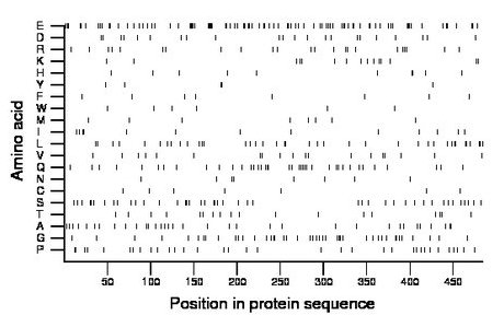 amino acid map