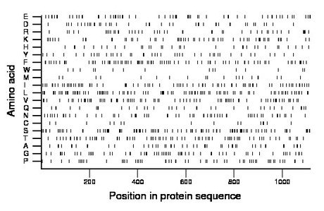 amino acid map