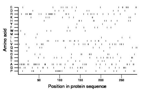 amino acid map