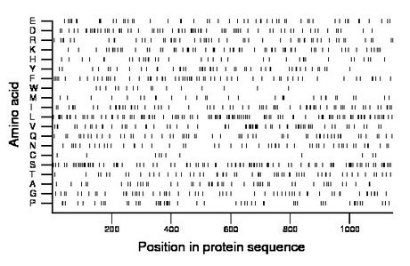 amino acid map